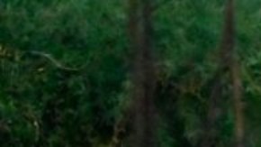 El acceso a algunas áreas más afectadas en Honduras sigue siendo difícil.