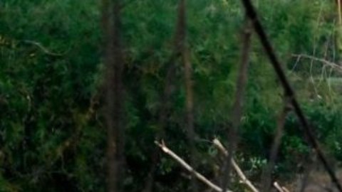 El acceso a algunas áreas más afectadas en Honduras sigue siendo difícil.