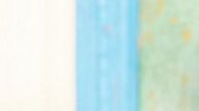 Akvelon busca que los dueños de gatos entiendan a sus felinos a través de sus maullidos.