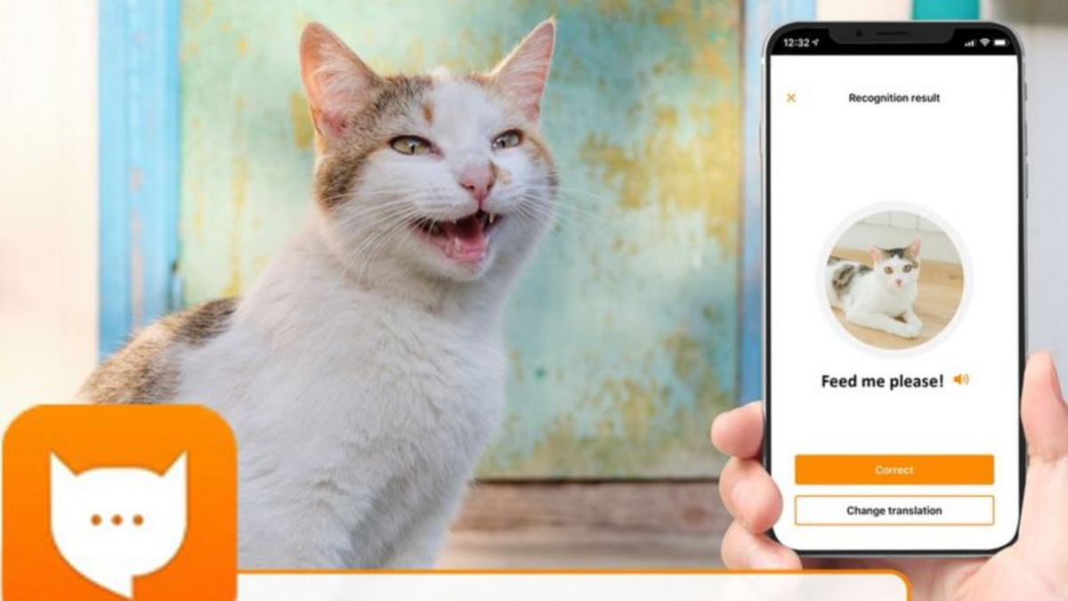 The app that can translate your cat’s meows