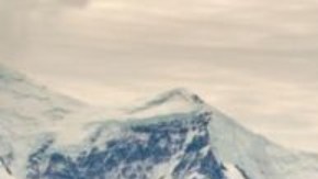 Una ballena azul del Antártico emerge frente a las Islas Georgias del Sur.