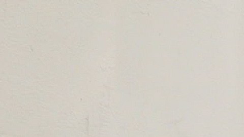 La Coalición por los Derechos de los Inmigrantes (CHIRLA) lucha por las tarjetas de identificación de California para los inmigrantes. (Cortesía)