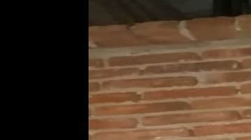 "Cuerpo colgado" causa alarma, no darás crédito a lo que en realidad era