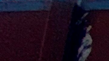 El muro solo está presente en 400 millas de las 1,954 que comprenden la frontera.