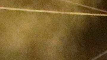 Enfrentamientos de policías y manifestantes en Lima, el 14 de noviembre.