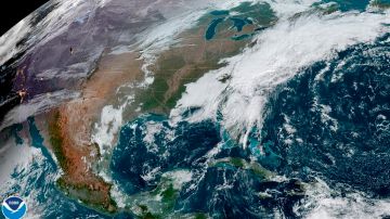 La tormenta tropical Eta atravesó el norte de Florida con fuertes vientos y lluvias.