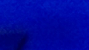 Kamala Harris durante su discurso en Wilmington, Delaware.