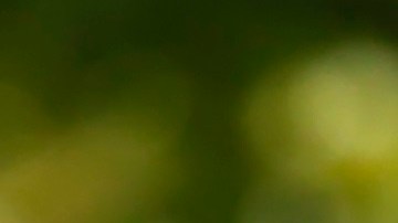 Jon Rahm, uno de los mejores golfistas del mundo.