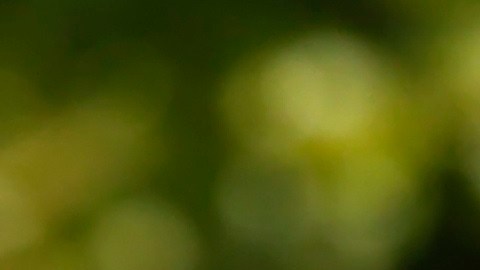 Jon Rahm, uno de los mejores golfistas del mundo.