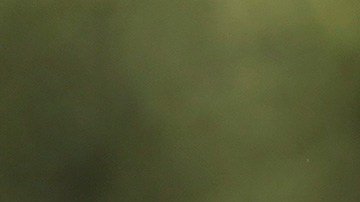 Abraham Ancer agusta masters