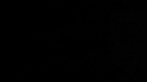 The Elf on the Shelf's Magical Holiday Journey