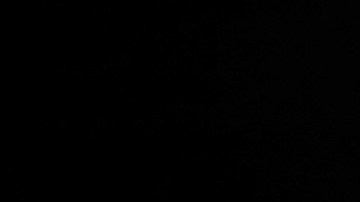 The Elf on the Shelf's Magical Holiday Journey