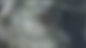 Cae sujeto por participar directamente en asesinato de familia estadounidense LeBarón