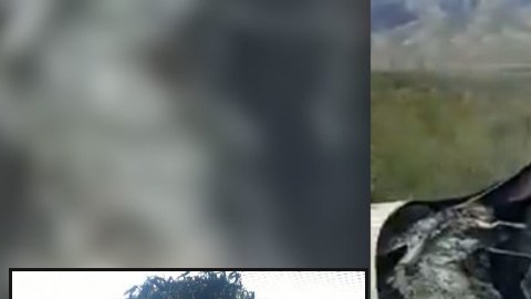 Cae sujeto por participar directamente en asesinato de familia estadounidense LeBarón
