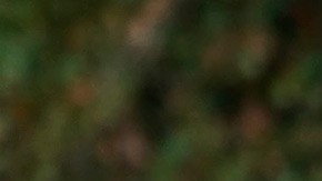 Carlos Ortiz, PGA, Golf