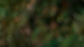 Carlos Ortiz, PGA, Golf