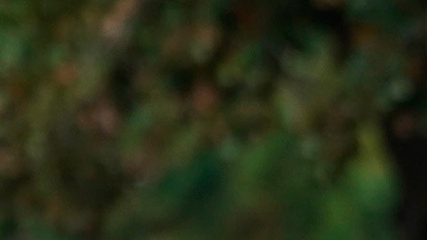 Carlos Ortiz, PGA, Golf