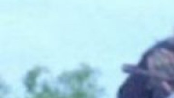 Cártel del Noreste