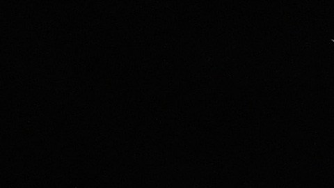 Julio Cesar Chavez Jr