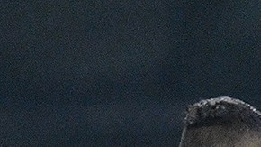 Cruz Azul tigres semifinales liga mx