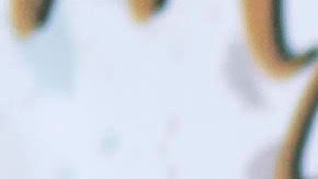 Espinoza Paz ahora se estrena como panadero.