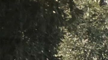 El registro de votantes del condado de Fresno aumentó en 20,000 en ocho meses. / foto: Eduardo Stanley.