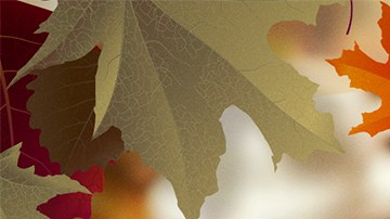 Especial de Acción de Gracias de Univision