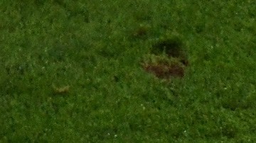 Eurocopa Alemania francia portugal