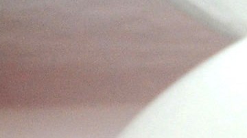 Galilea Montijo se encuentra estable pese a padecer coronavirus.