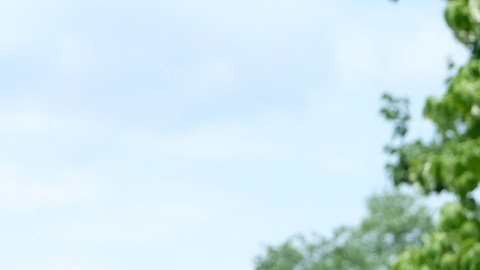 Trump trata de deshacerse de un caso que lo ha perseguido desde que llegó a la Casa Blanca.