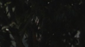 Penitenciaría Federal de Estados Unidos en Terre, Haute, Indiana.