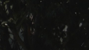 Penitenciaría Federal de Estados Unidos en Terre, Haute, Indiana.