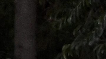 El piloto de la aeronave murió en el accidente. Foto de archivo.