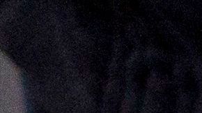 Las organizaciones no encuentran a los padres de 666 menores migrantes.