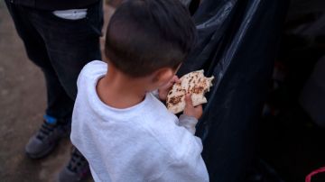 Las organizaciones no encuentran a los padres de 666 menores migrantes.