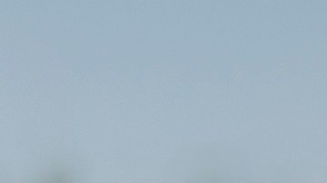 Las muertes han aumentado en LA en un 25% respecto a 2019.