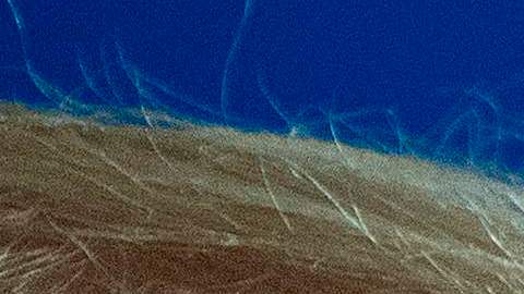 Trump buscaba atacar las instalaciones nucleares del país de Oriente Medio.