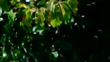 Se debe tratar de estudiantes que sean económicamente independientes.