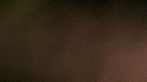 Meadows ha sido visto sin mascarilla y sin respetar distanciamiento.