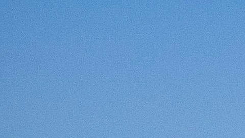 El recuento que pago Trump ha favorecido al presidente electo.