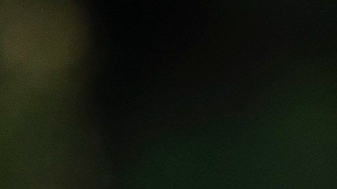 El expresidente Obama participó en la campaña de Biden.