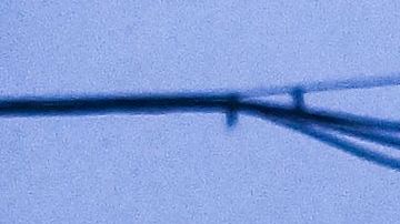 Los efectos de la tormenta podrían empeorar en las próximas horas.