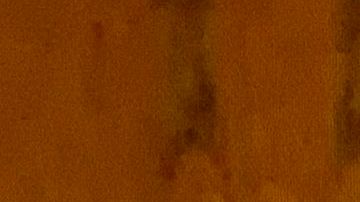 Merino renunció tras una semana en el cargo.