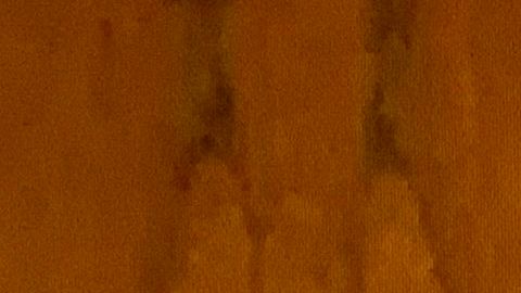 Merino renunció tras una semana en el cargo.