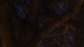 Los turistas deben estar 14 días en cuarentena si vienen a Los Ángeles.