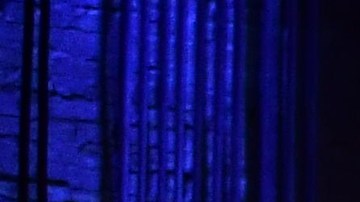 Los nombramientos son una declaración de intenciones del presidente electo.