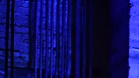 Los nombramientos son una declaración de intenciones del presidente electo.