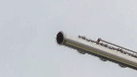 Los músicos y otros artistas han visto sus ingresos drásticamente reducidos en la pandemia.