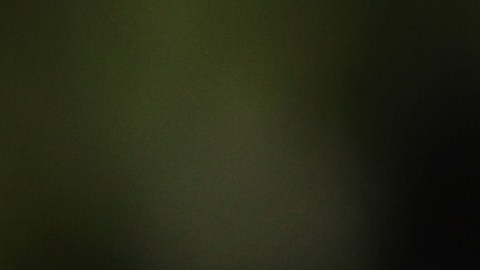 Cuomo dice que no se comprometerá a enviar información de los neoyorquinos que se vacunen.