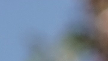 Sanders habría llamado a los jefes de los sindicatos.